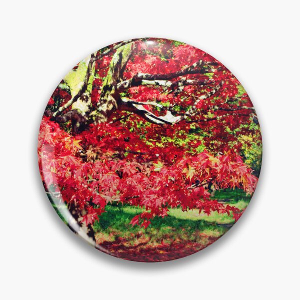 Item preview, Autumn Acer Tree Westonbirt Arboretum Cotswolds designed and sold by AndyEvansPhotos.