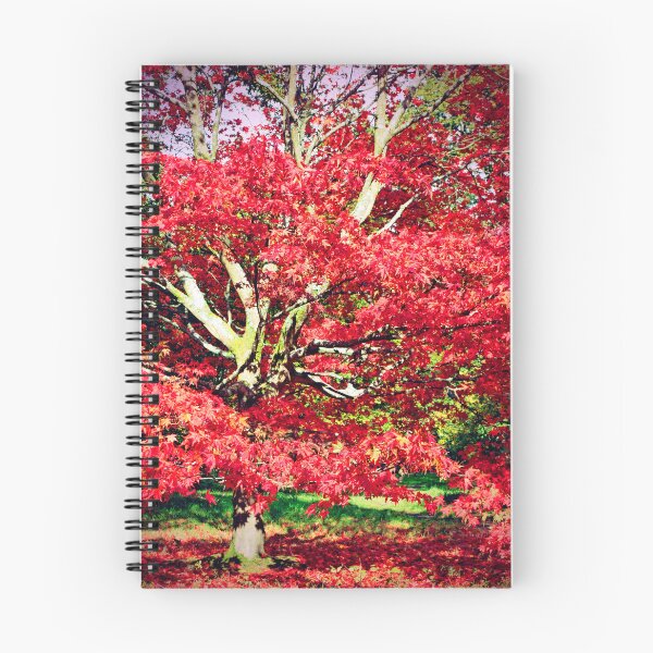 Item preview, Otoño Acer Tree Westonbirt Arboretum Cotswolds designed and sold by AndyEvansPhotos.