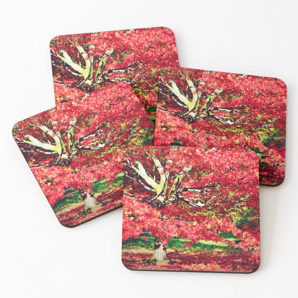 Item preview, Autumn Acer Tree Westonbirt Arboretum Cotswolds designed and sold by AndyEvansPhotos.