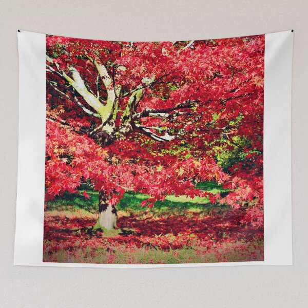 Item preview, Autumn Acer Tree Westonbirt Arboretum Cotswolds designed and sold by AndyEvansPhotos.