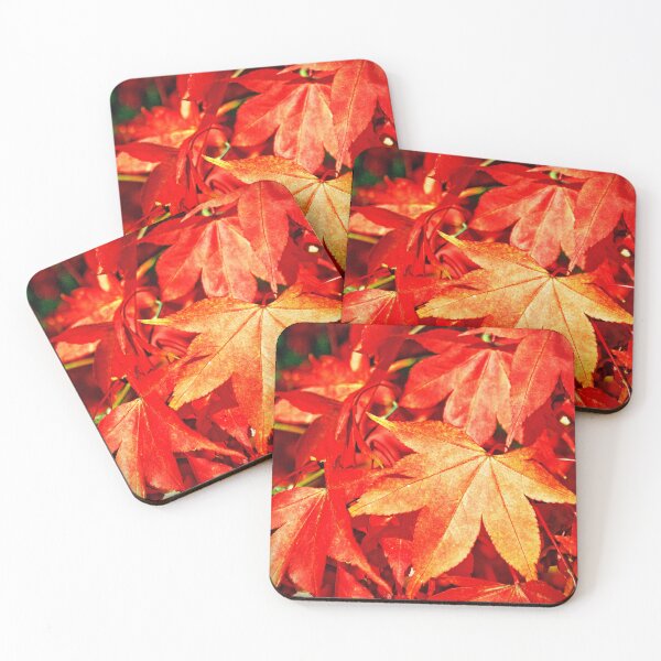 Item preview, Autumn Acer Tree Westonbirt Arboretum Cotswolds designed and sold by AndyEvansPhotos.