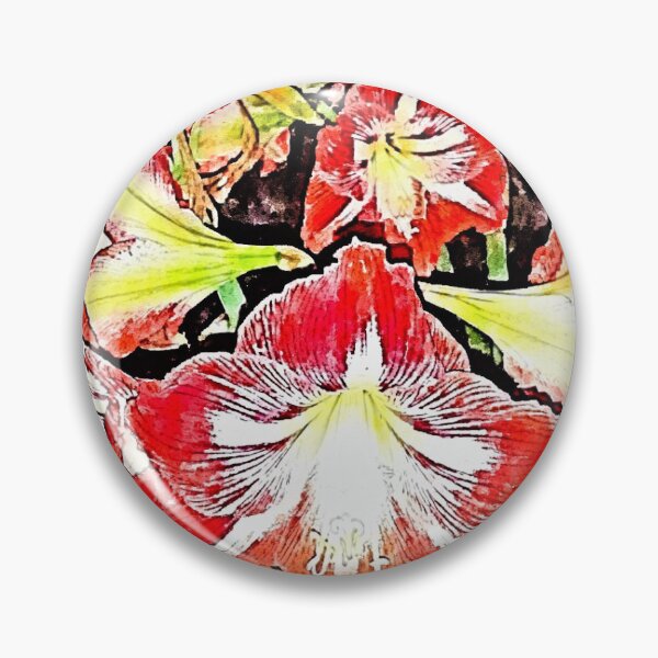 Item preview, Hippeastrum (Amaryllis) designed and sold by Floral-Art.
