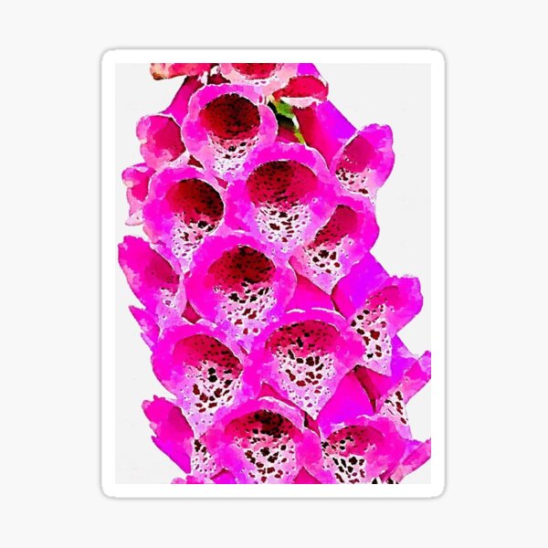 Aperçu de l'œuvre Digitale purpurée (digitale) créée et vendue par Floral-Art.