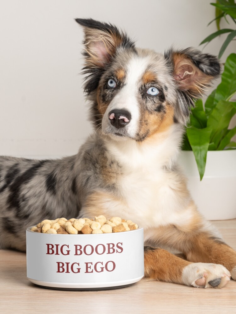 BIG BOOBS BIG EGO BIG BOOBS BIG EGO