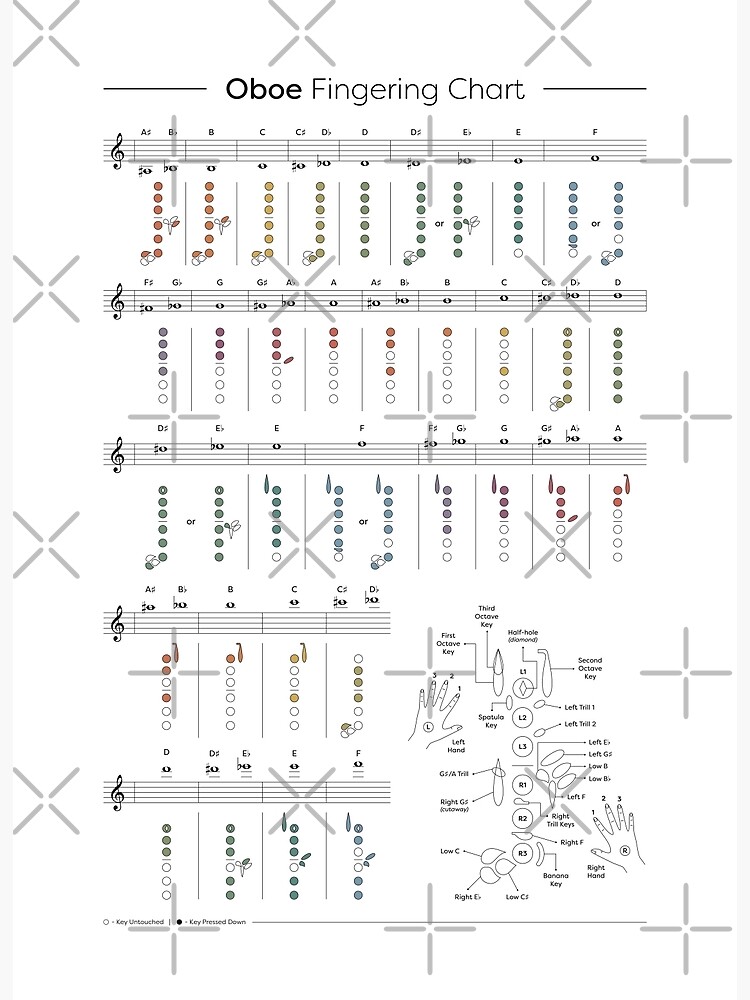 "Oboe Fingering Chart" Poster for Sale by pennyandhorse Redbubble