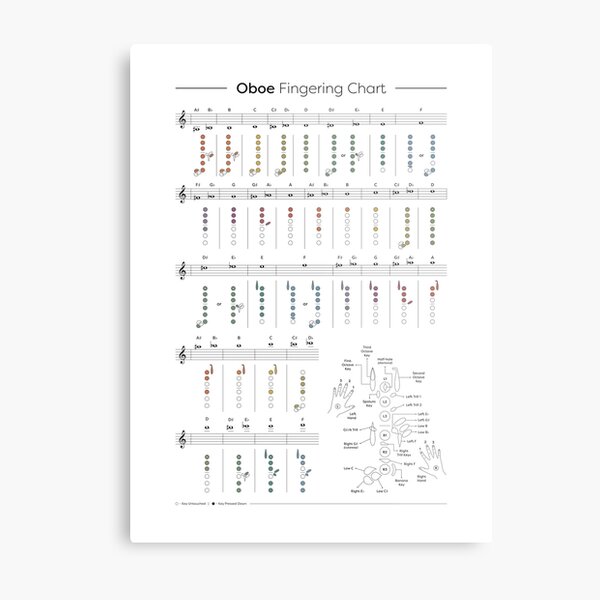 Oboe Fingering Chart Metal Print