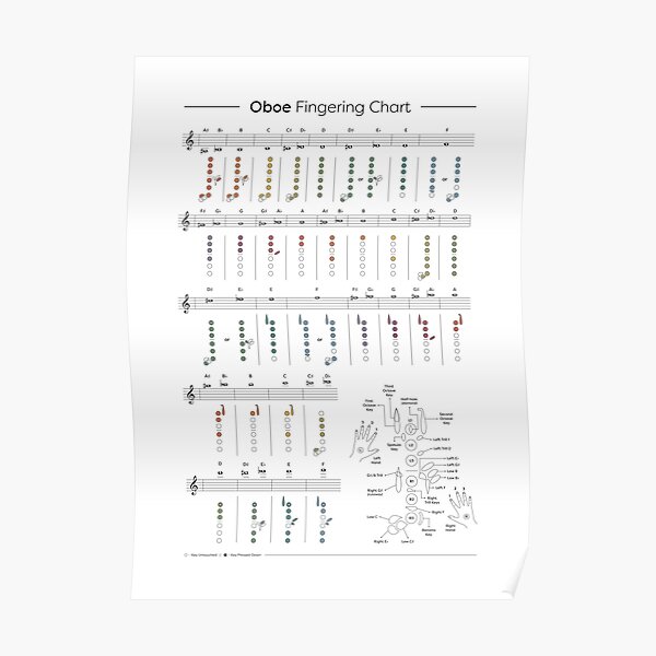 "Oboe Fingering Chart" Poster for Sale by pennyandhorse Redbubble