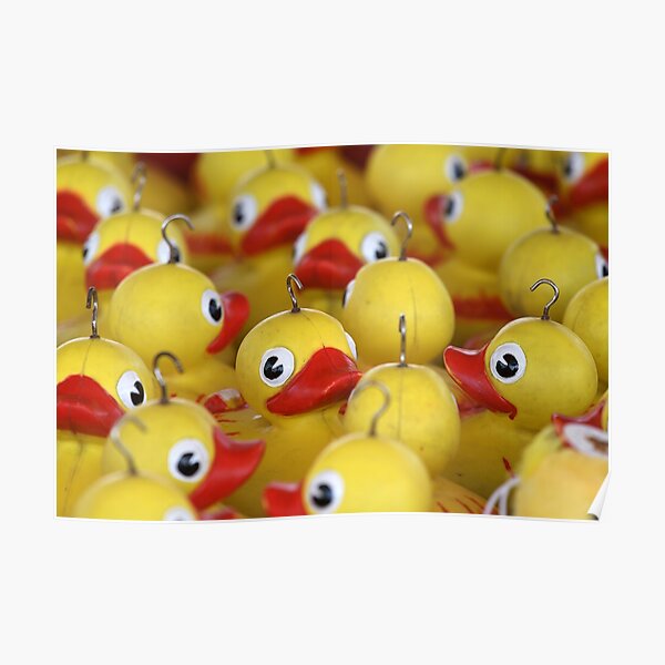 "Hook a Duck" Poster for Sale by danodling Redbubble