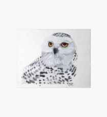 Snowy Owl Art Board