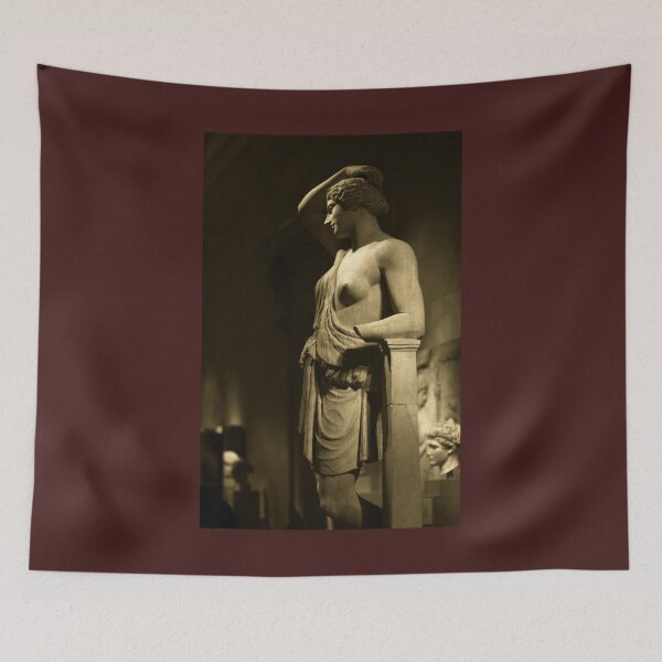 Item preview, Statue Of A Woman At The Met designed and sold by SarabiSarah.
