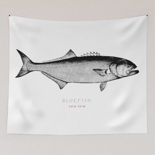 Item preview, Bluefish Pen and Ink Illustration designed and sold by Ken Murphy.