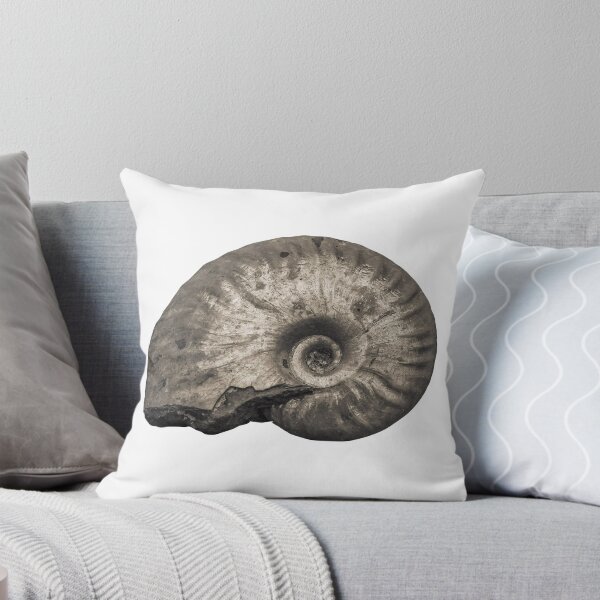 Item preview, Ammonite designed and sold by Matthew Hollinshead.