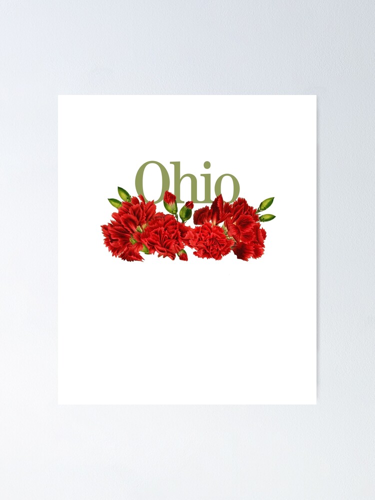 Ohio Red Carnations State Flower  Ohio State Gifts Poster for
