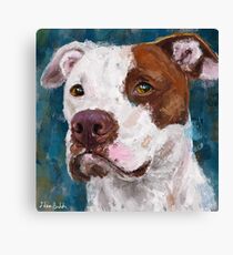 A Painting of a White and Brown Pit Bull Canvas Print