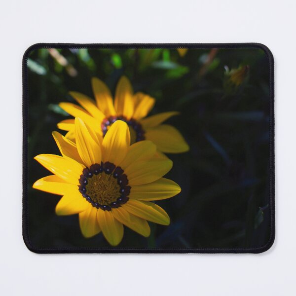 Item preview, Gazania Treasure Flowers in Half Shade Garden designed and sold by CarolinaReina.