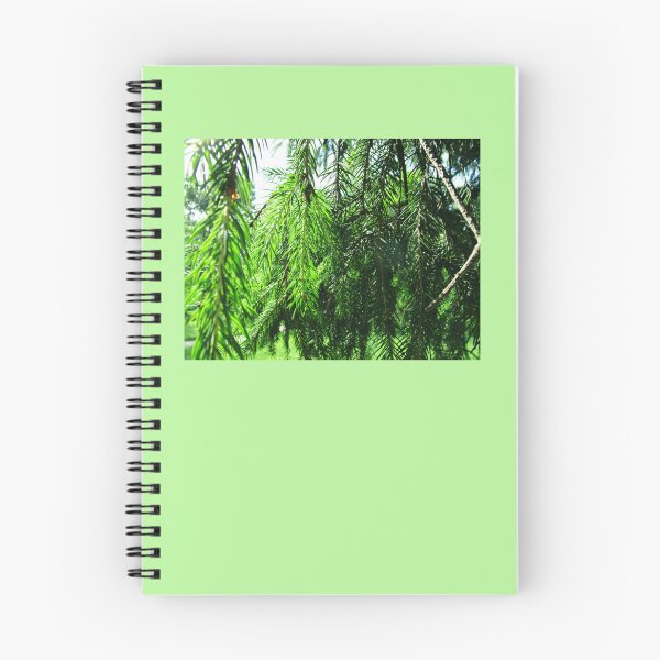 Item preview, Fir tree branches photography |  fir branches designed and sold by lausn.