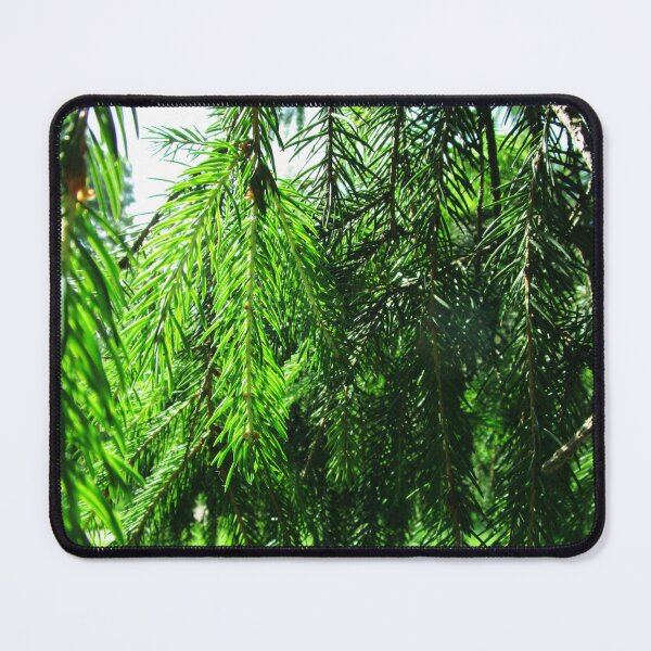 Item preview, Fir tree branches photography |  fir branches designed and sold by lausn.
