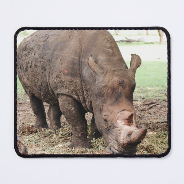 Item preview, Rhino in the wild designed and sold by Creativitytrend.