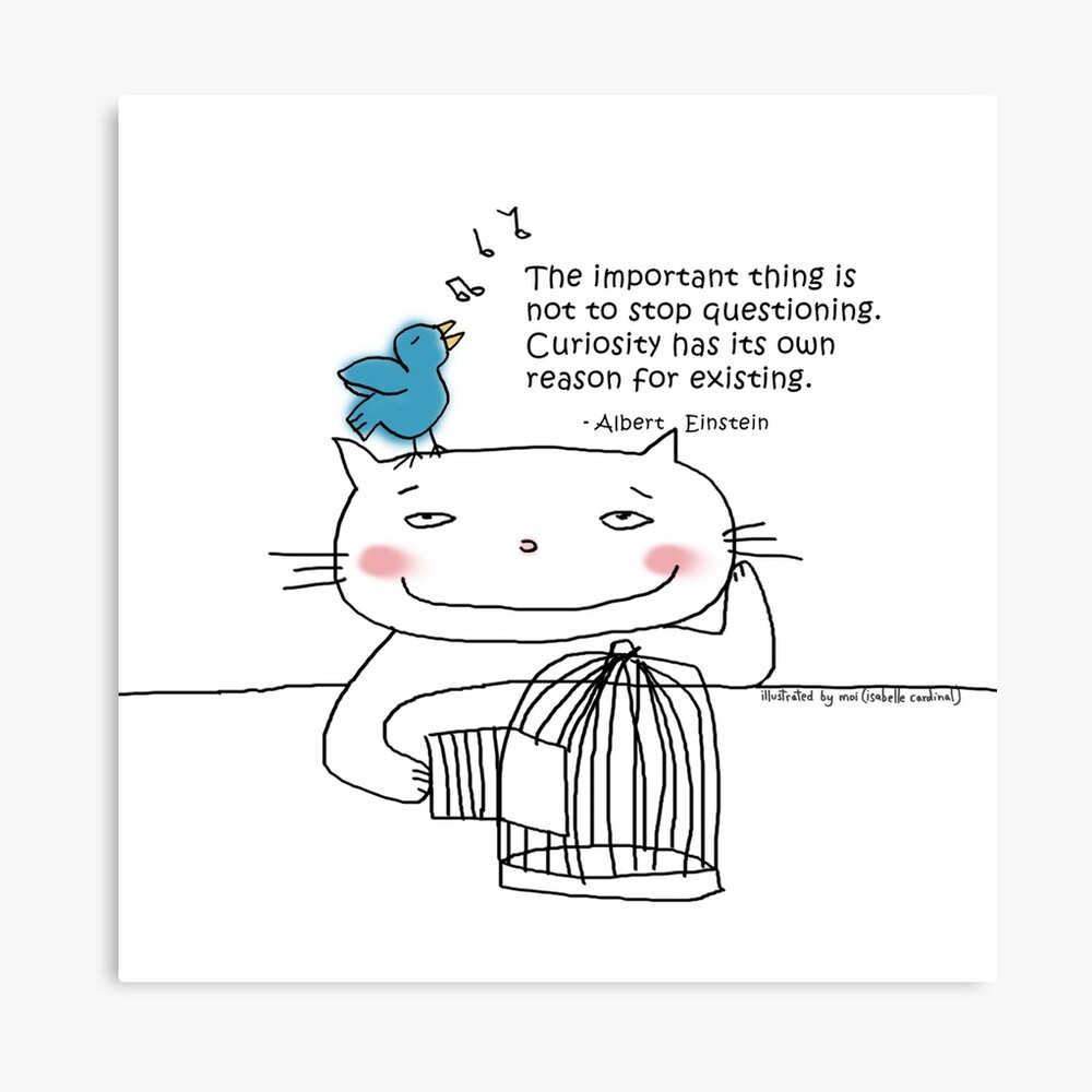 Impression Photo Citation D Einstein Curiosite Doodle De Chat Par Eyecreate Redbubble