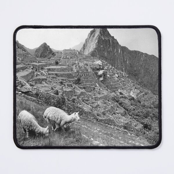 Item preview, Vintage Llama at Machu Pichu designed and sold by JerryFrank.
