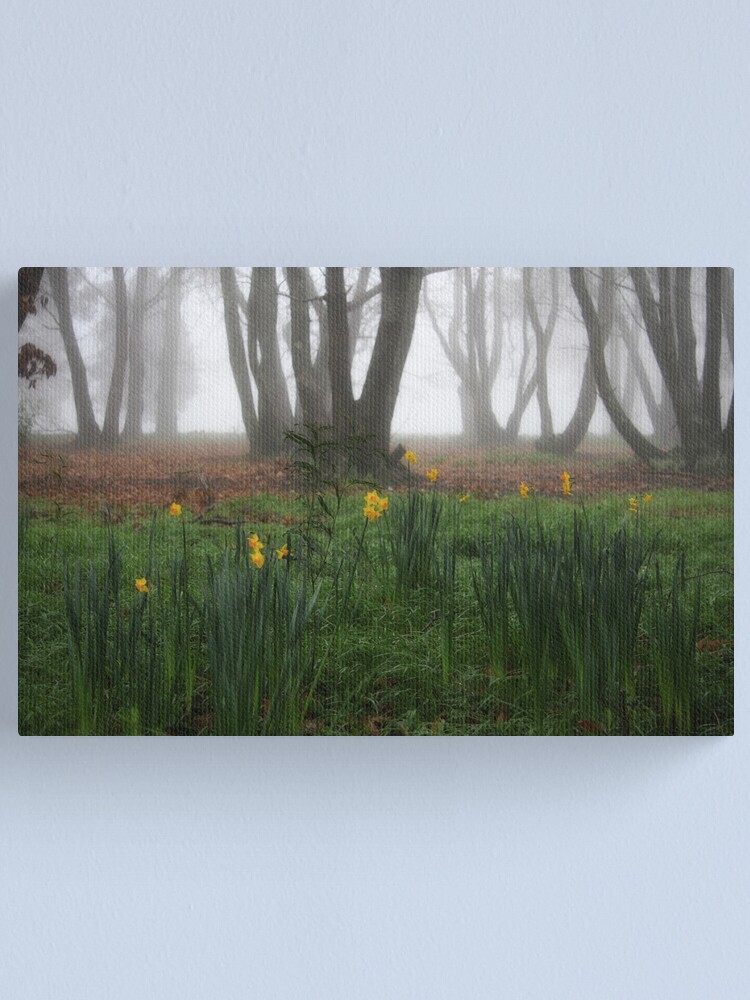 Alternate view of Winter daffodils Canvas Print