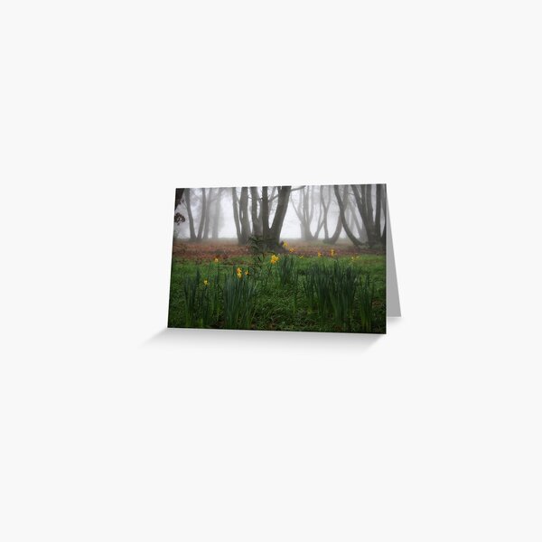 Winter daffodils Greeting Card