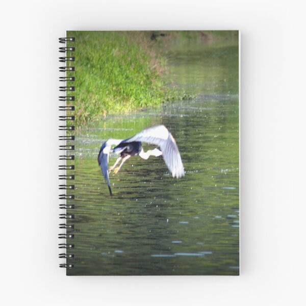 Item preview, Great Blue Heron in flight, Trojan pond, near Goble, Oregon 3 designed and sold by Dawna Morton.