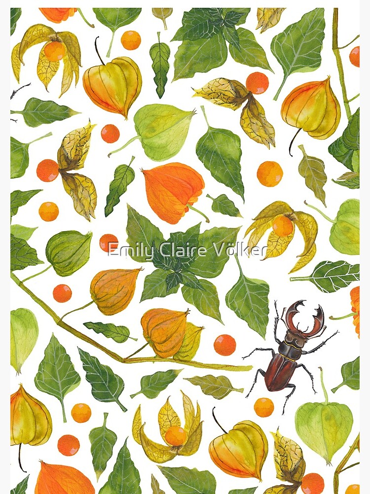 Physalis & Lucanus Cervus by lillylotus