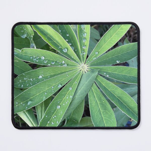 Item preview, Lupinus herbaceous designed and sold by FoxsJob.