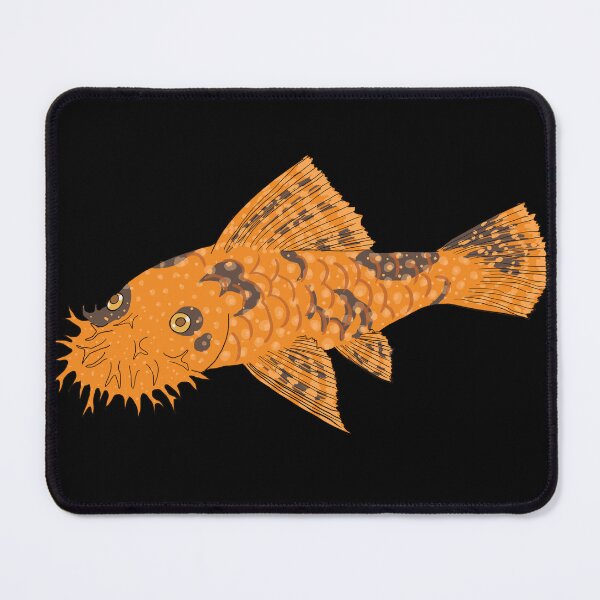 Item preview, Calico Bristlenose Pleco - Pumpkin Spice Flavor - Black Background designed and sold by ReverendMothman.