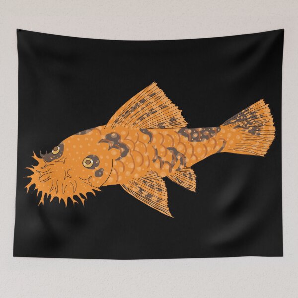 Item preview, Calico Bristlenose Pleco - Pumpkin Spice Flavor - Black Background designed and sold by ReverendMothman.