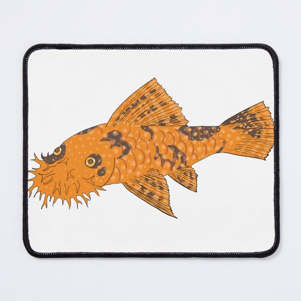 Item preview, Calico Bristlenose Pleco - Pumpkin Spice Flavor - White Background designed and sold by ReverendMothman.