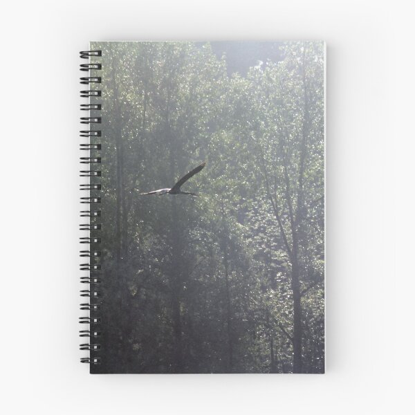 Item preview, Great Blue Heron flying at Trojan pond, near Goble, Oregon designed and sold by Dawna Morton.