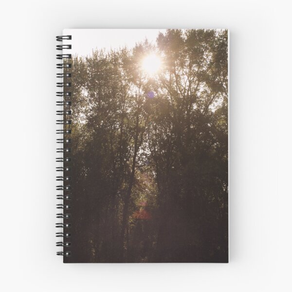 Item preview, morning sun through treetops Trojan pond, near Goble, Oregon designed and sold by Dawna Morton.