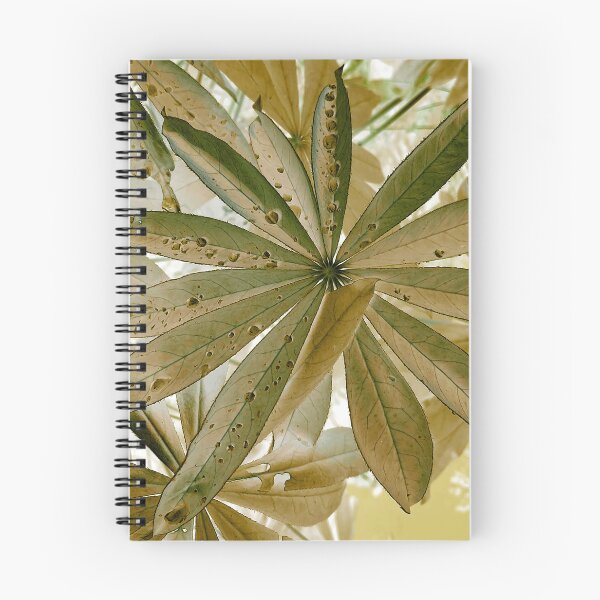 Item preview, Copy of Lupinus herbaceous designed and sold by FoxsJob.