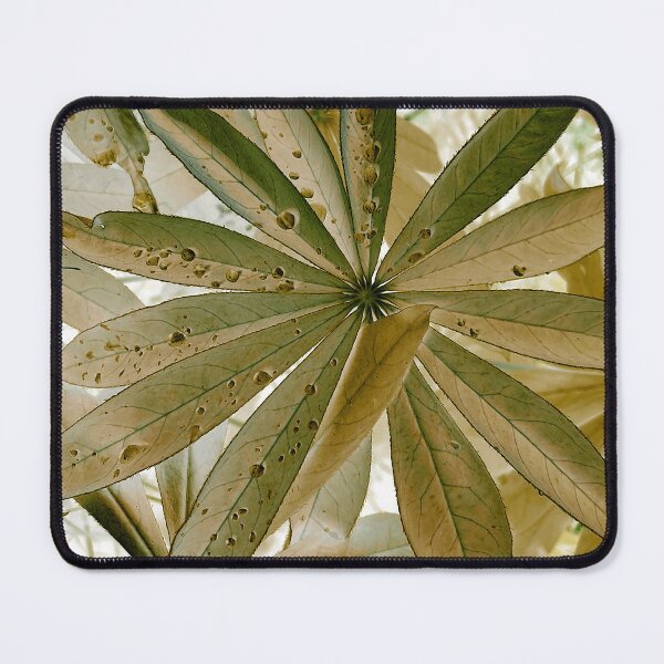 Item preview, Copy of Lupinus herbaceous designed and sold by FoxsJob.