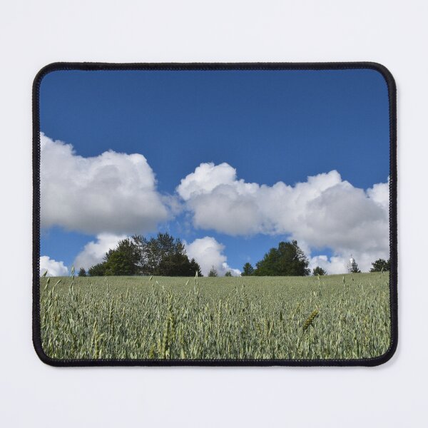 Item preview, A field of oats under a blue sky designed and sold by Claude Laprise.