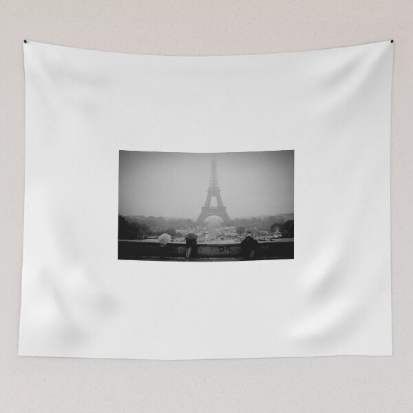Item preview, Paris TROCADERO near Eiffel Tower during a winter rainy day.  designed and sold by PhotogalleryCJ.