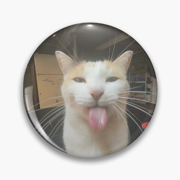 Silly BLEHHHHH :P Cat Meme PFP Profile Picture