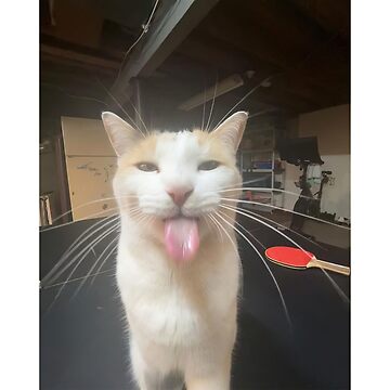 Artwork thumbnail, Bleh Cat :P by LuckyDesigner