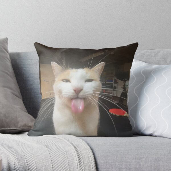 Pillows with cats on them sale