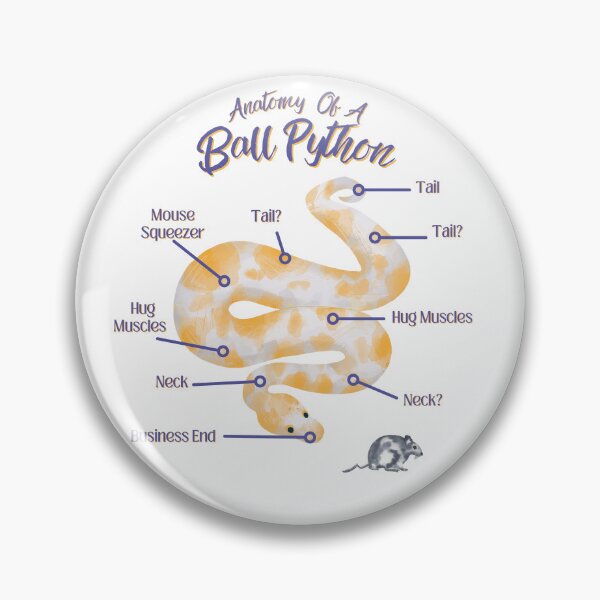 Item preview, Anatomy Of A Ball Python designed and sold by LifeIsAGiftD.