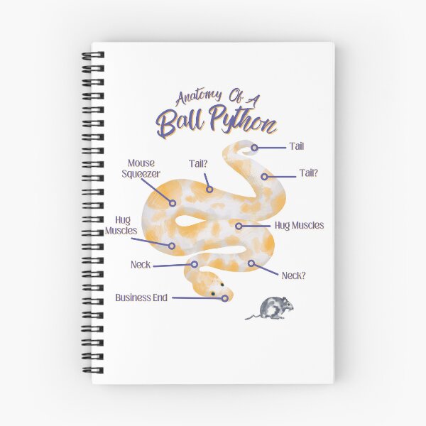 Item preview, Anatomy Of A Ball Python designed and sold by LifeIsAGiftD.