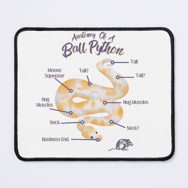 Item preview, Anatomy Of A Ball Python designed and sold by LifeIsAGiftD.