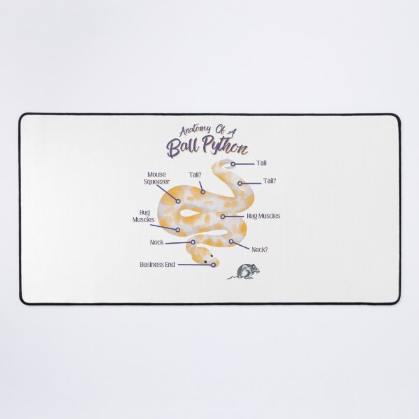 Item preview, Anatomy Of A Ball Python designed and sold by LifeIsAGiftD.