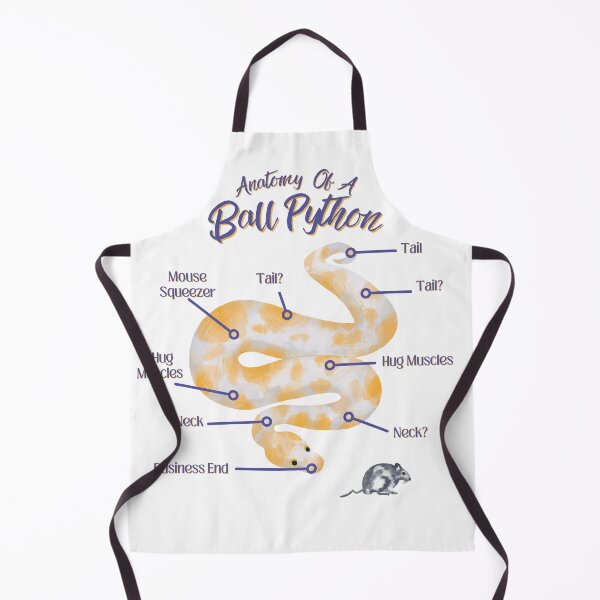 Item preview, Anatomy Of A Ball Python designed and sold by LifeIsAGiftD.