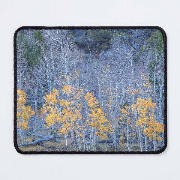 Item preview, Late in Season designed and sold by jvnimages.