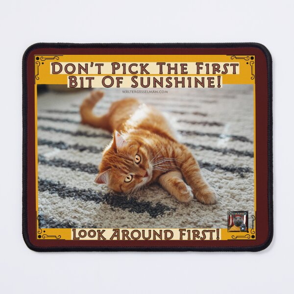 Item preview, Don’t Pick The First Bit Of Sunshine!  Look Around First! designed and sold by Walter G. Esselman.