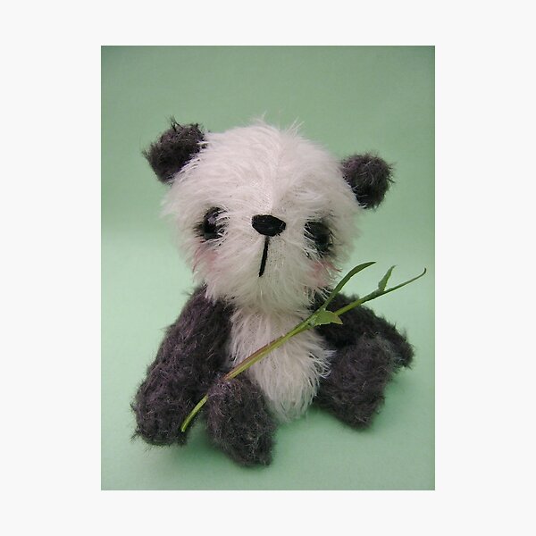 'Meiko' the Panda - Handmade bears from Teddy Bear Orphans Photographic Print