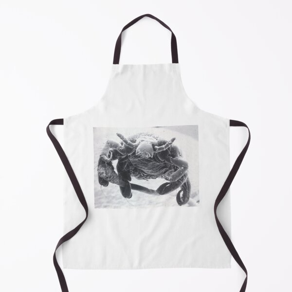 Item preview, EM scan Crab Pubic Louse designed and sold by Csherburne.